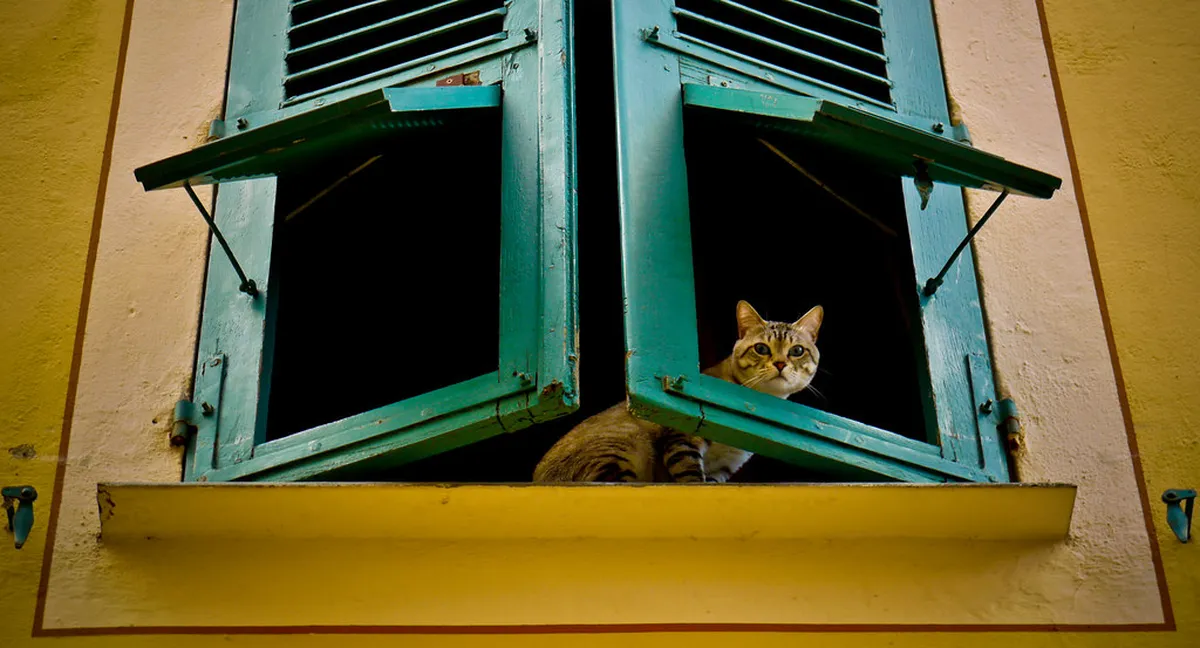 Ajaccio Budget Travel Tips 2025: Save Money in Corsica