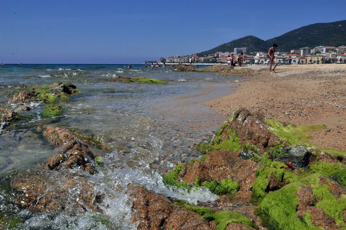 Ajaccio Travel Essentials 2025: Your Ultimate Guide