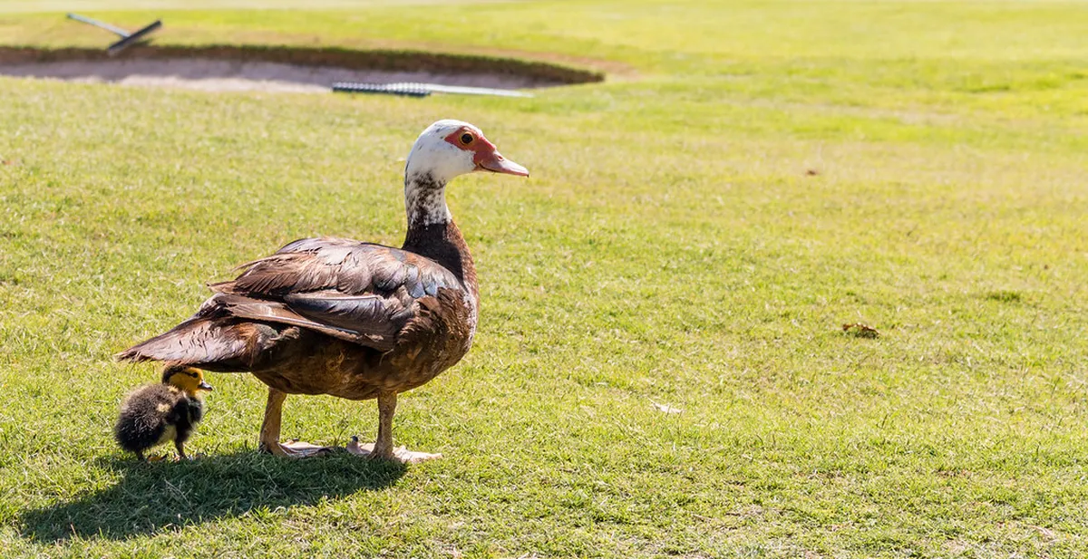 Alicante Safety Travel Guide: Stay Safe in 2025