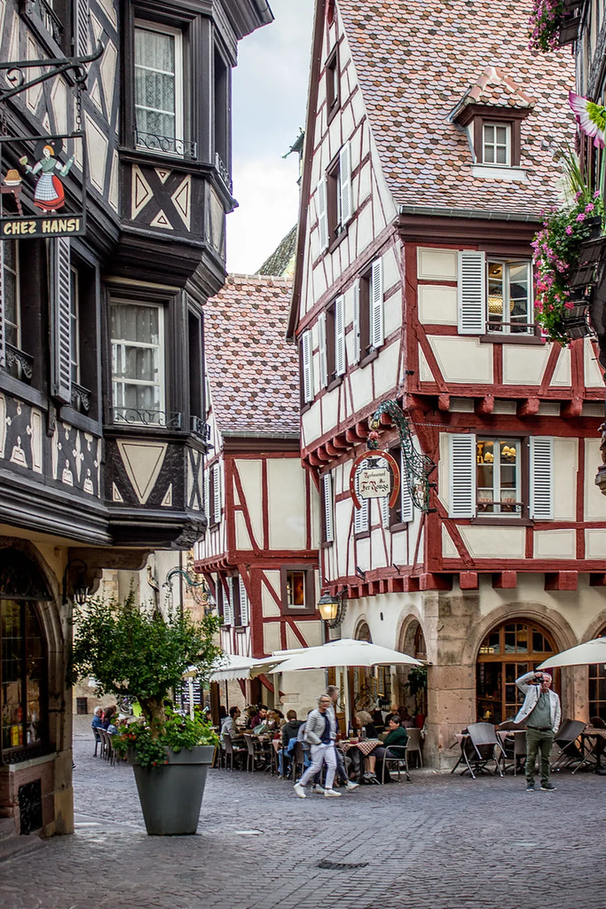 Alsace Wine Tours From Colmar: Half Day vs Full Day Compared – itinerary guide