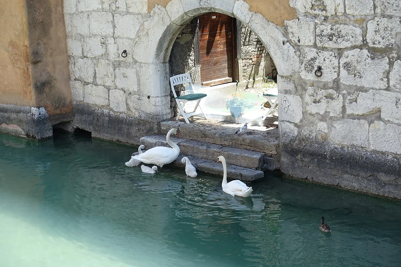 Annecy Parking Guide 2026: Where to Park Near the Old Town and Lake