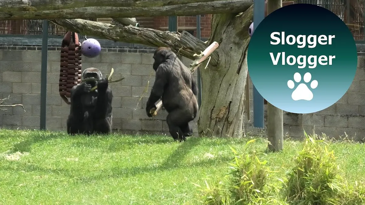 Antwerp's Best Food Spots: A Culinary Tour for 2025 – itinerary guide