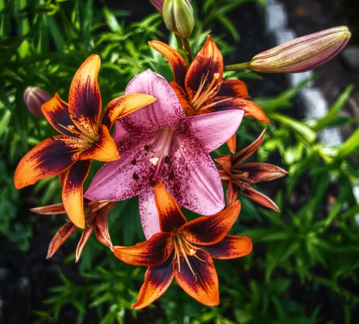 Discover Top Architectural Events in Tromsø 2025