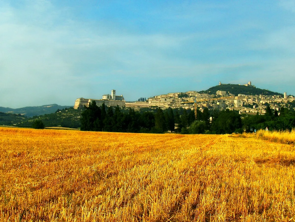 Assisi Food Specialties: A Culinary Journey in 2025