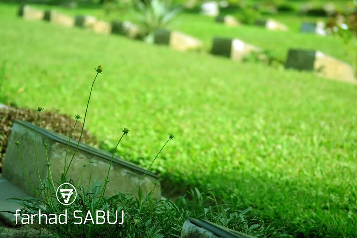 Your Ultimate Bari Airport Transfer Guide 2025