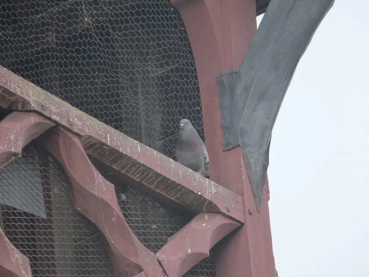 Beaune Markets Shopping Guide 2025: Local Gems