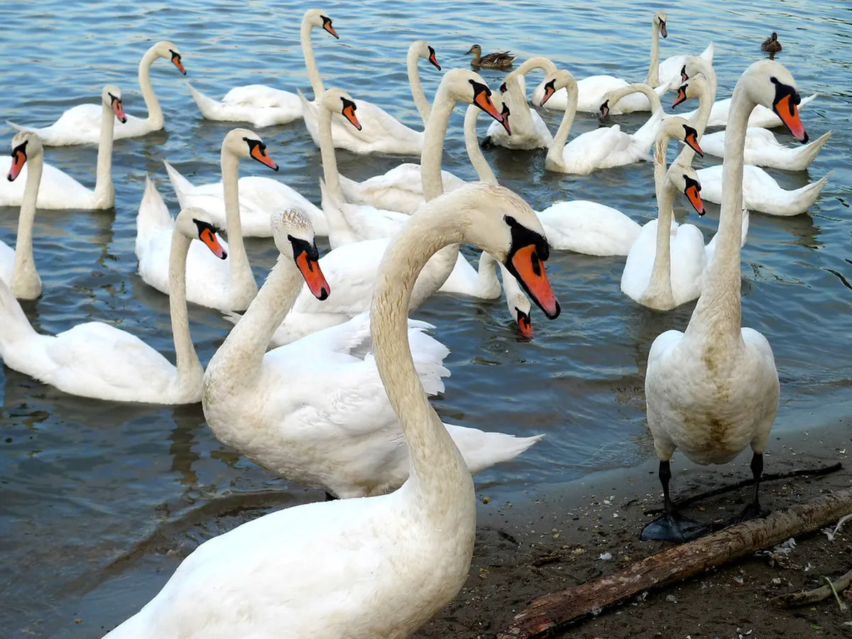 Belgrade Travel Tips 2025: Your Essential Serbia Guide