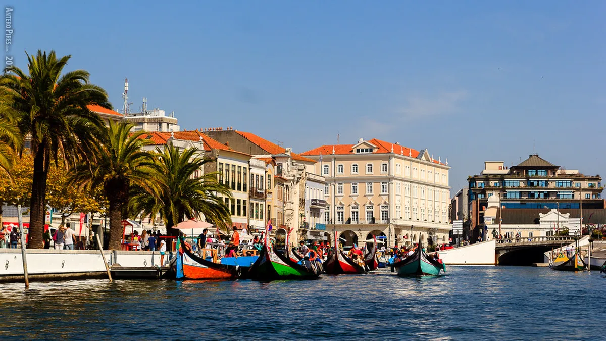 Find the Best Aveiro Canal Tour in 2025