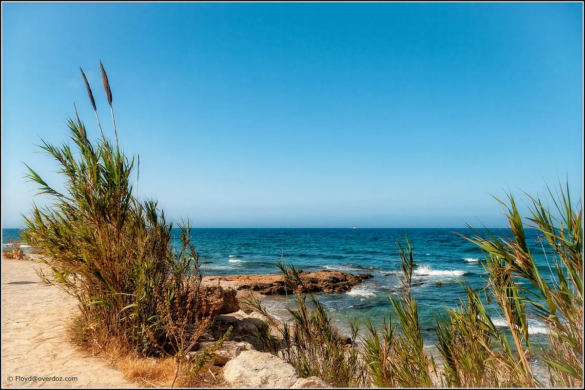 Discover the Best Beaches in Dénia for Your 2025 Trip