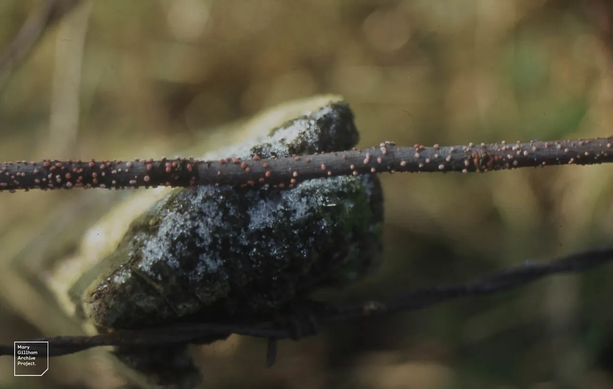 Discover the Best Cardiff Food Spots in 2025