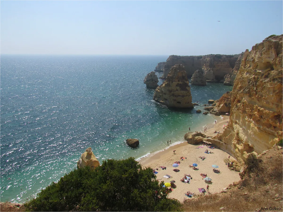 Best Carvoeiro Local Eats: A Culinary Journey in 2026