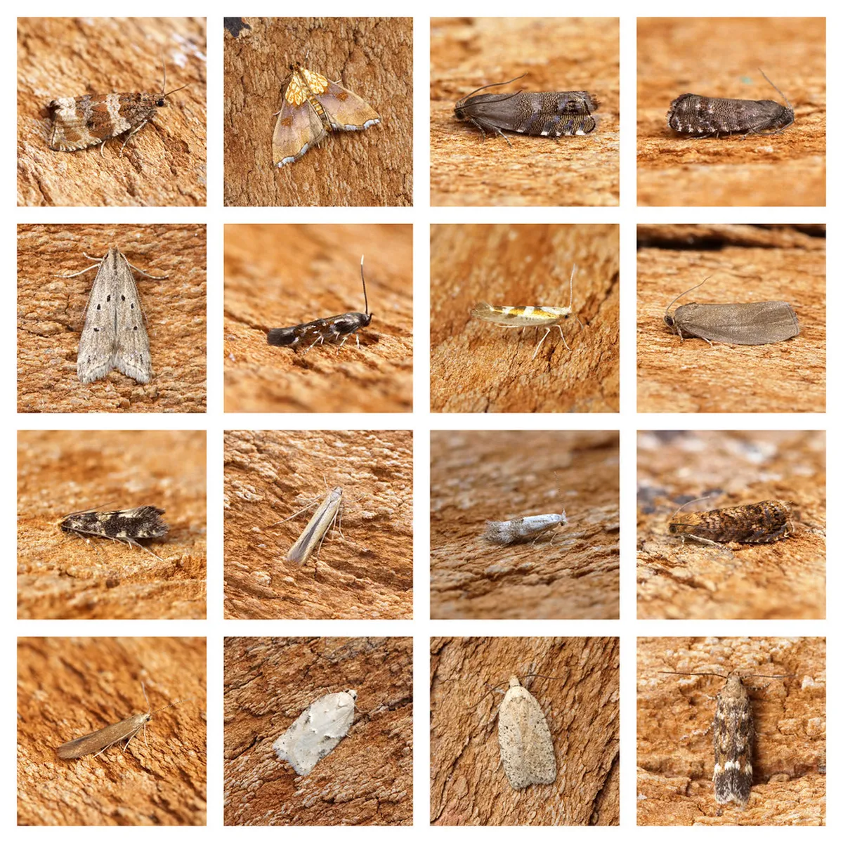 Best Day Trips from Cork: Unforgettable 2025 Adventures