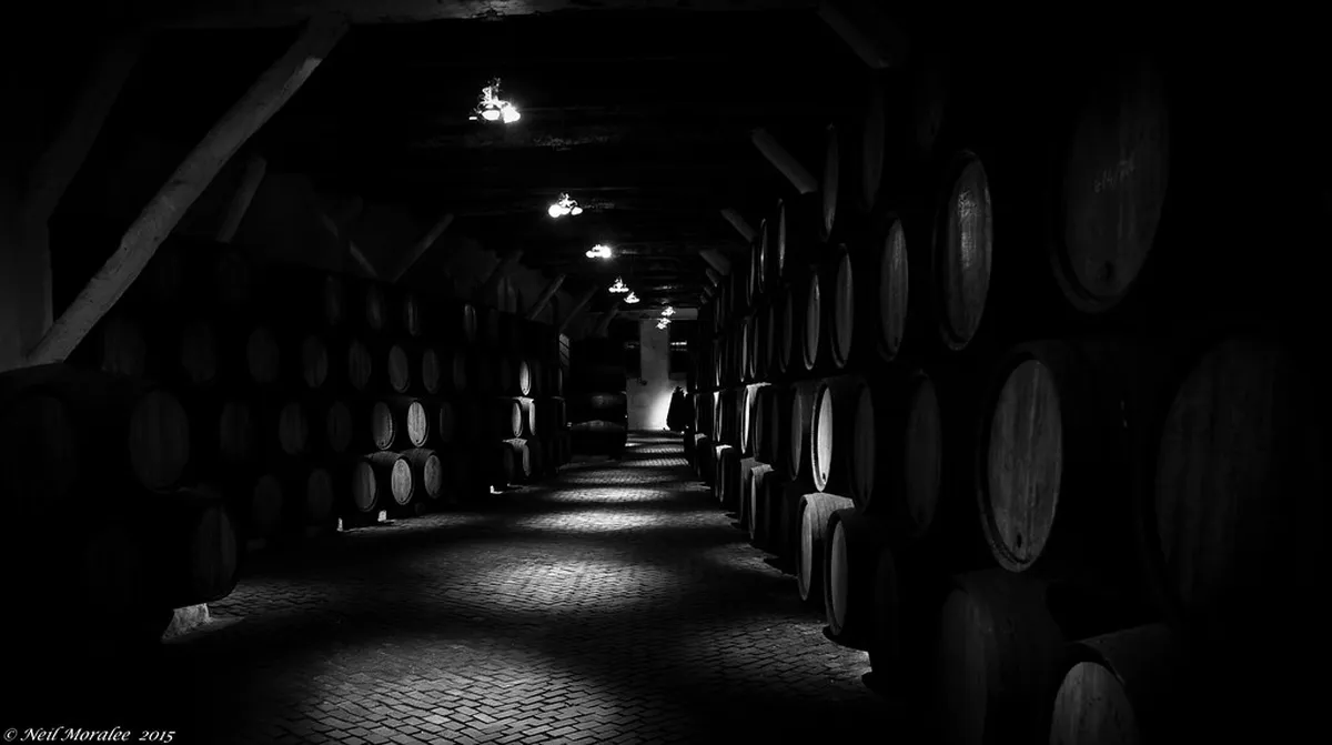 Best Day Trips from Porto 2025: Explore Northern Portugal