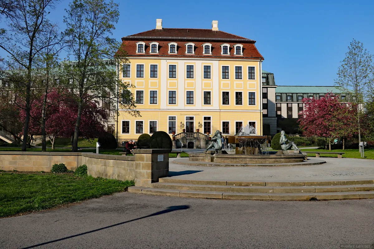 Best Dresden Restaurants: Top Culinary Experiences in 2025