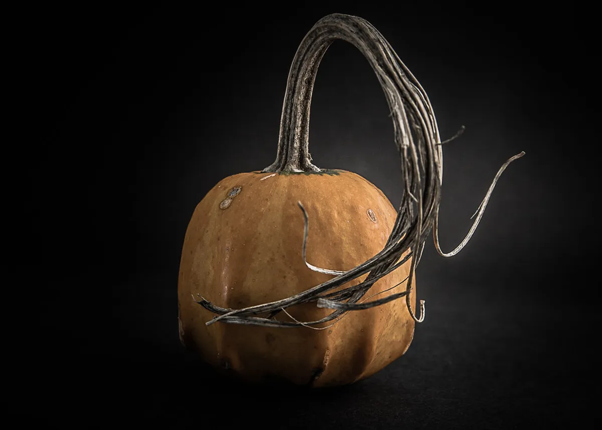 Best Food Wrocław First-Timers: A Culinary Guide 2025