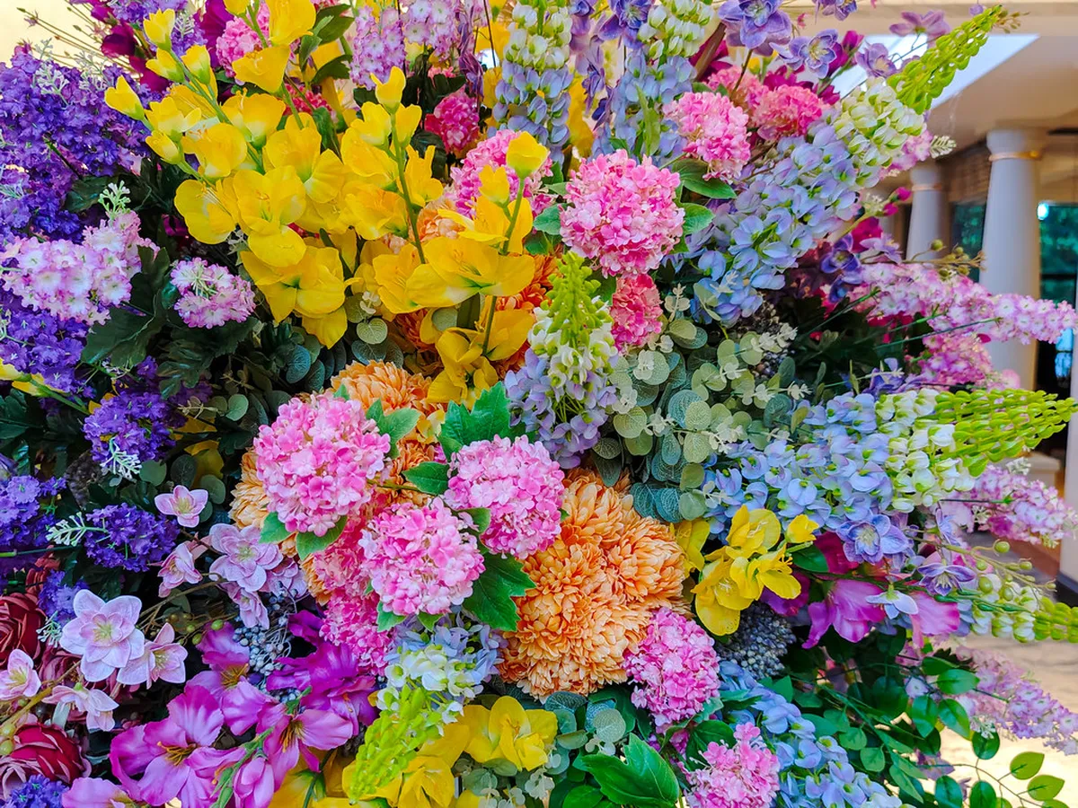 Best Hotels Derry 2025: Top Stays for Your UK Trip