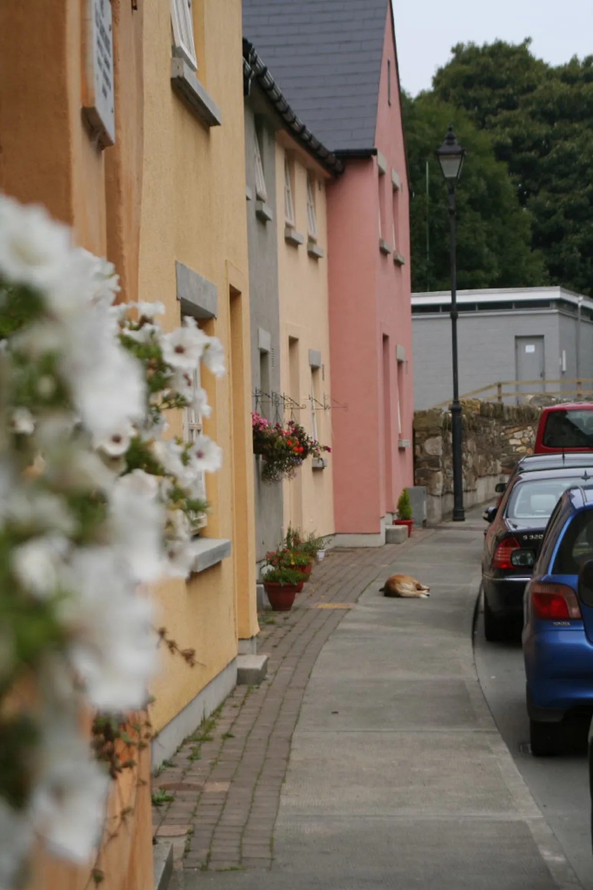 Best Kilkenny Souvenir Shops for Unique Irish Gifts