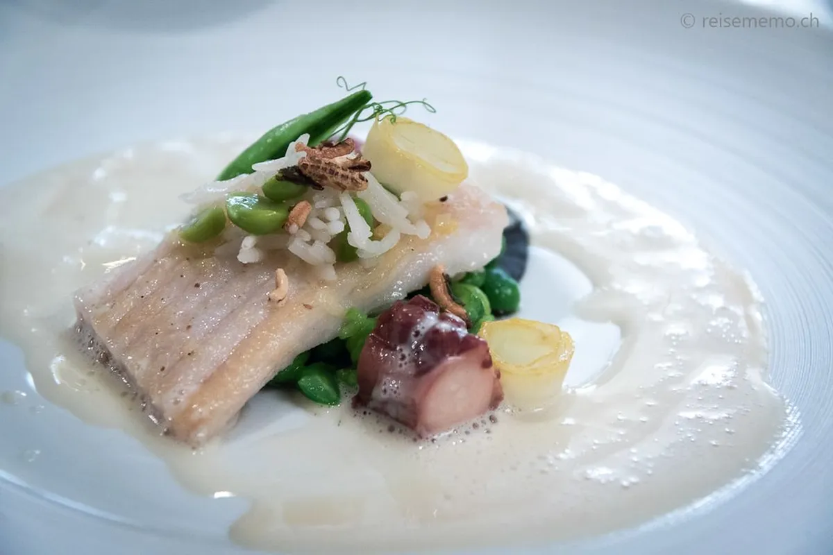 Best Konstanz Restaurants: Your Ultimate Dining Guide 2025