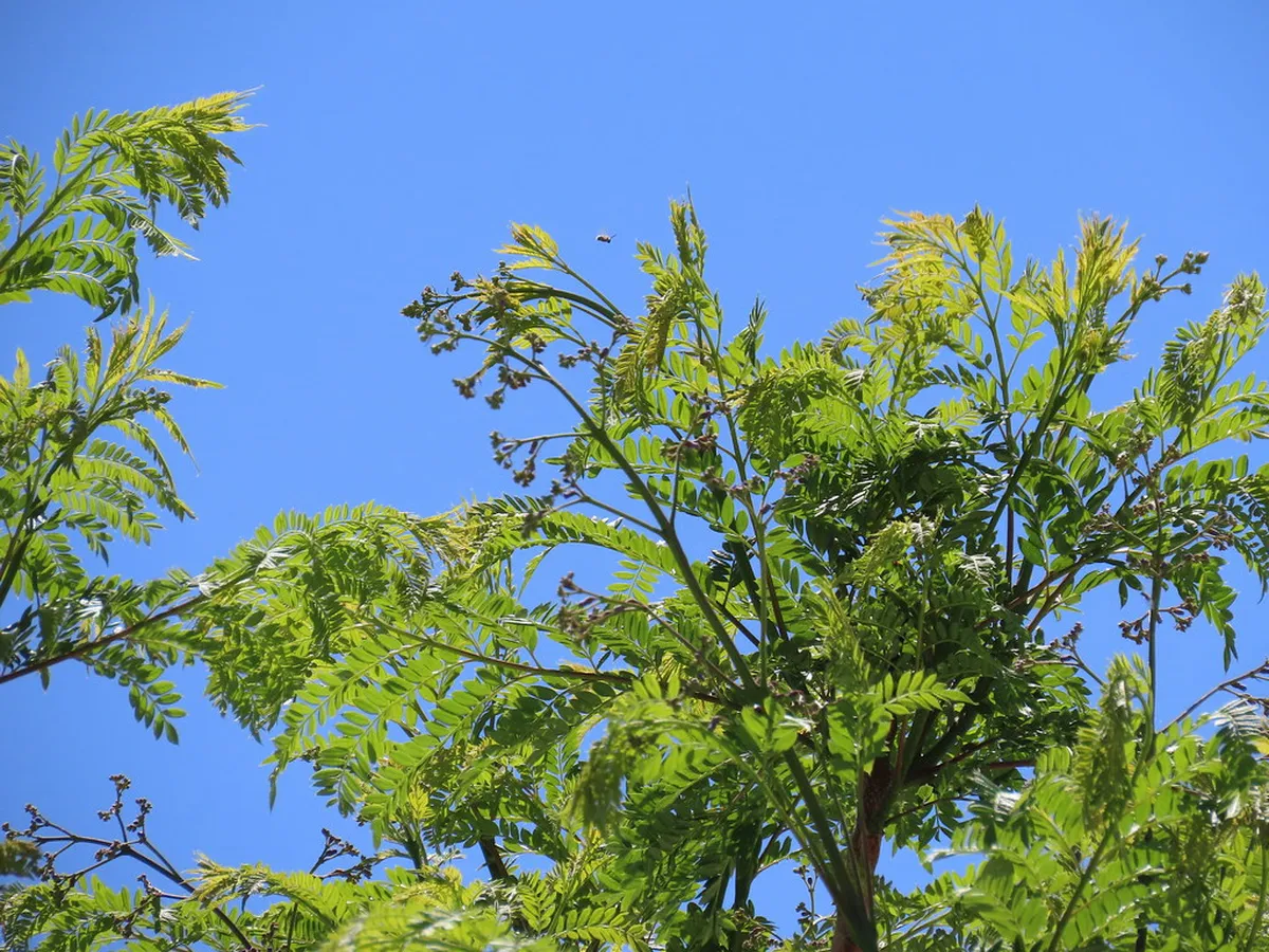 Cagliari's Best Local Food: A Culinary Journey in 2025