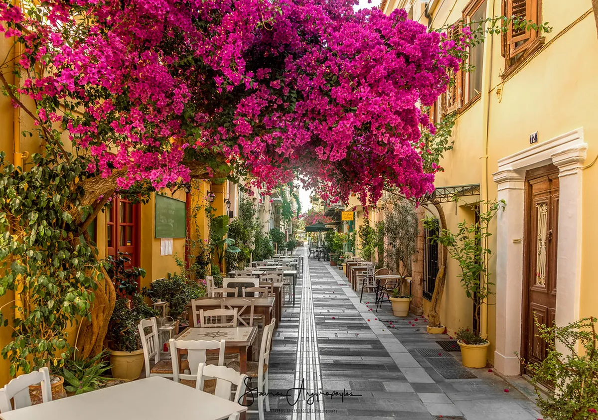 Best Nafplio Restaurants Guide 2025: Where to Eat in Greece