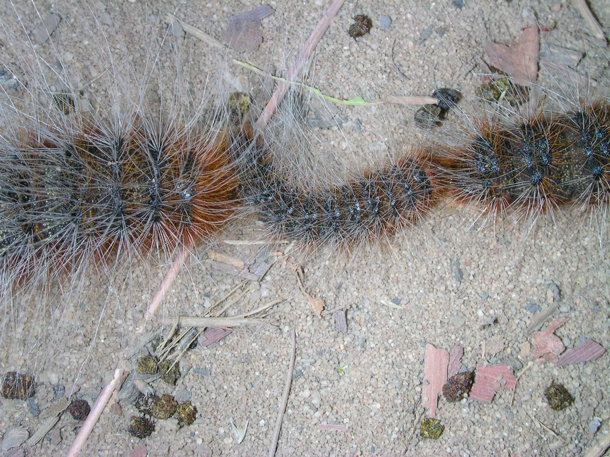 Discover the Best Noto Walking Routes for 2025