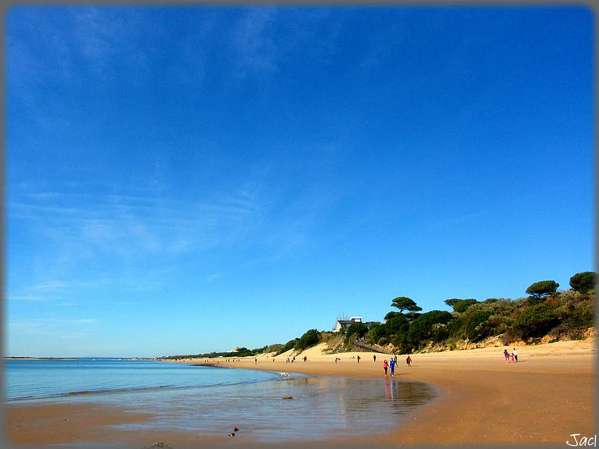 Best Restaurants La Laguna: Top Eateries for 2025