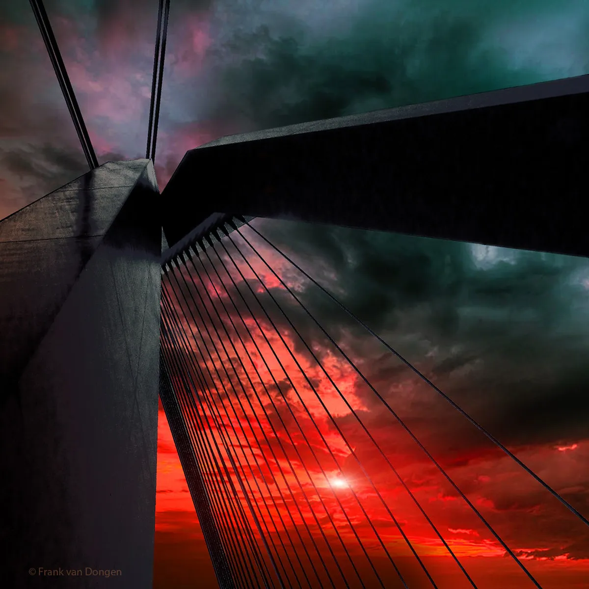 Best Rotterdam Tours for Beginners 2025: Your First Visit Guide