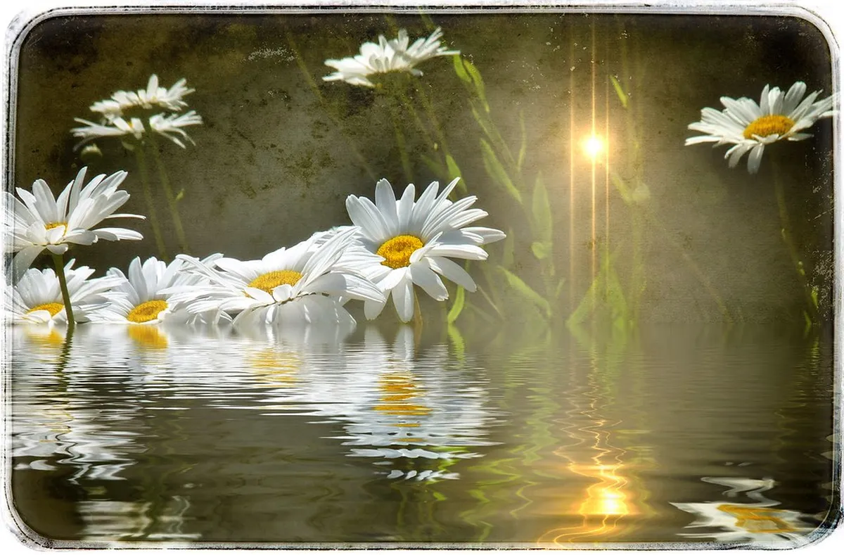 Discover Szentendre: A First-Timers Guide for 2026