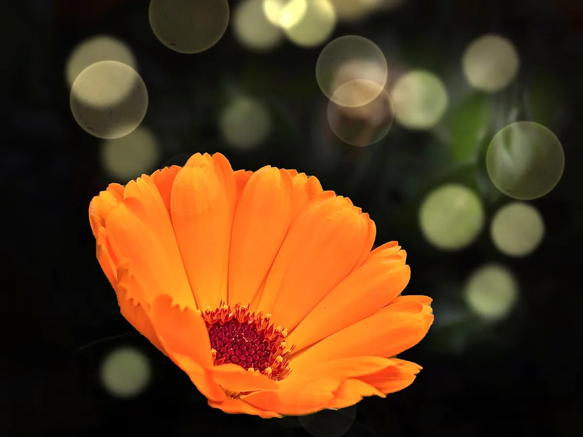 Best Things to Do Bolzano (Bozen) in 2026: Ultimate Guide