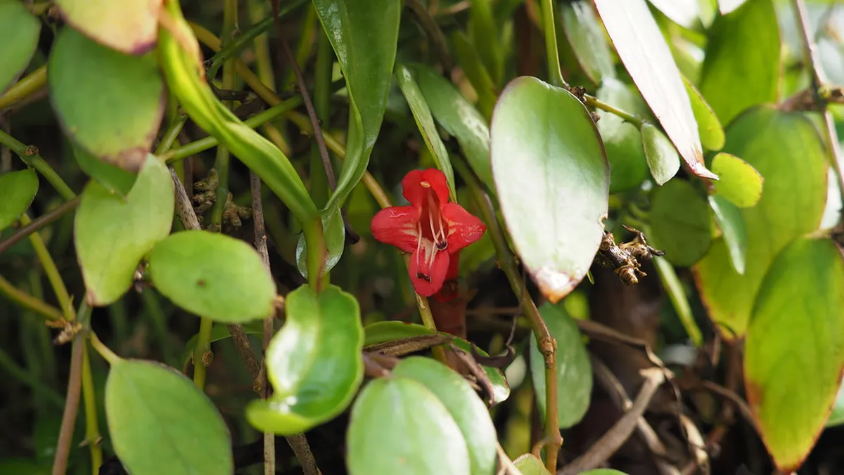 Best Things to Do in Bremen: Ultimate 2025 Travel Guide