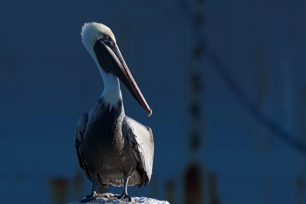 Best Things to Do in Milazzo, Sicily in 2026: Your Guide