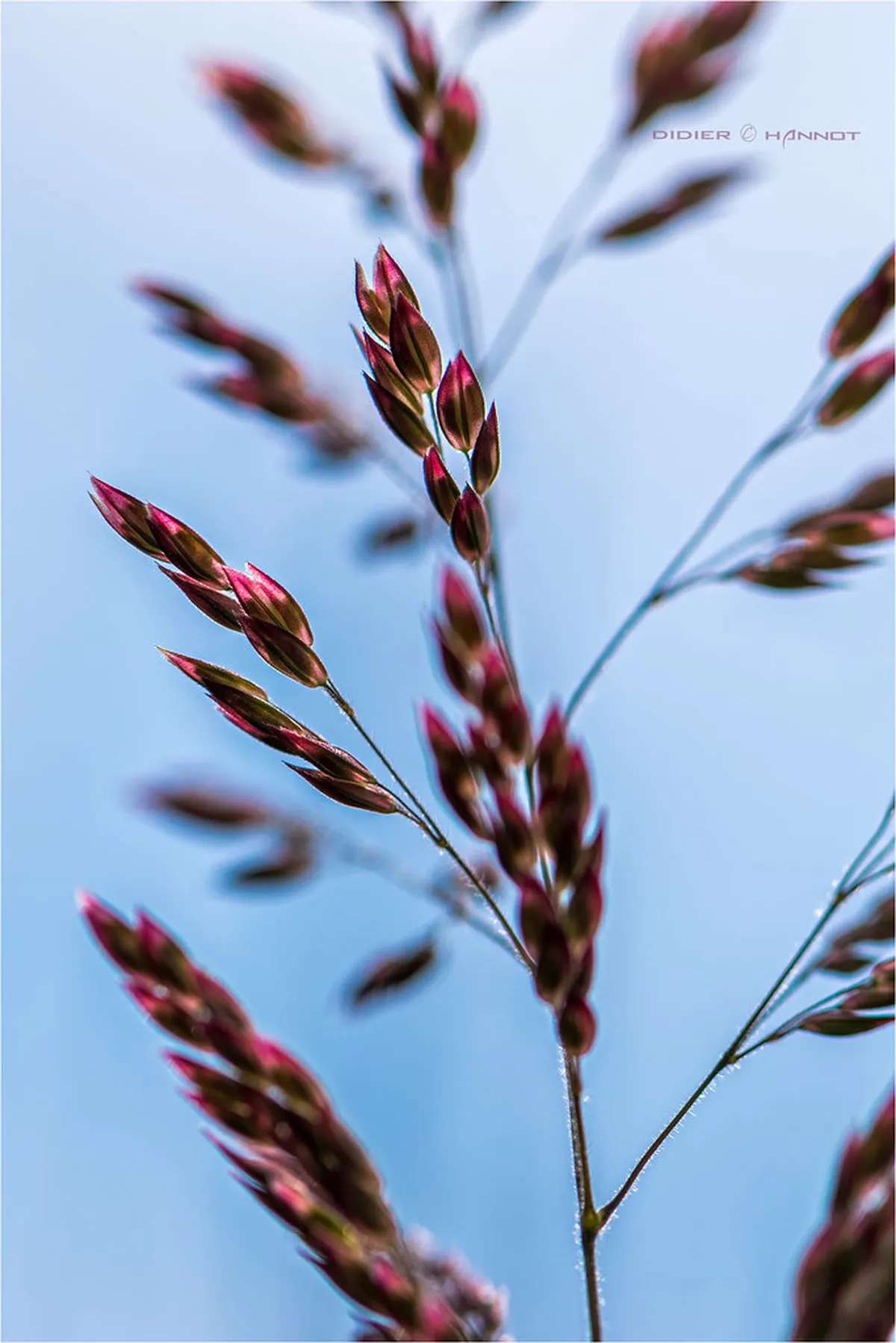 Best Things to Do in Namur 2025: Your Ultimate Belgium Guide