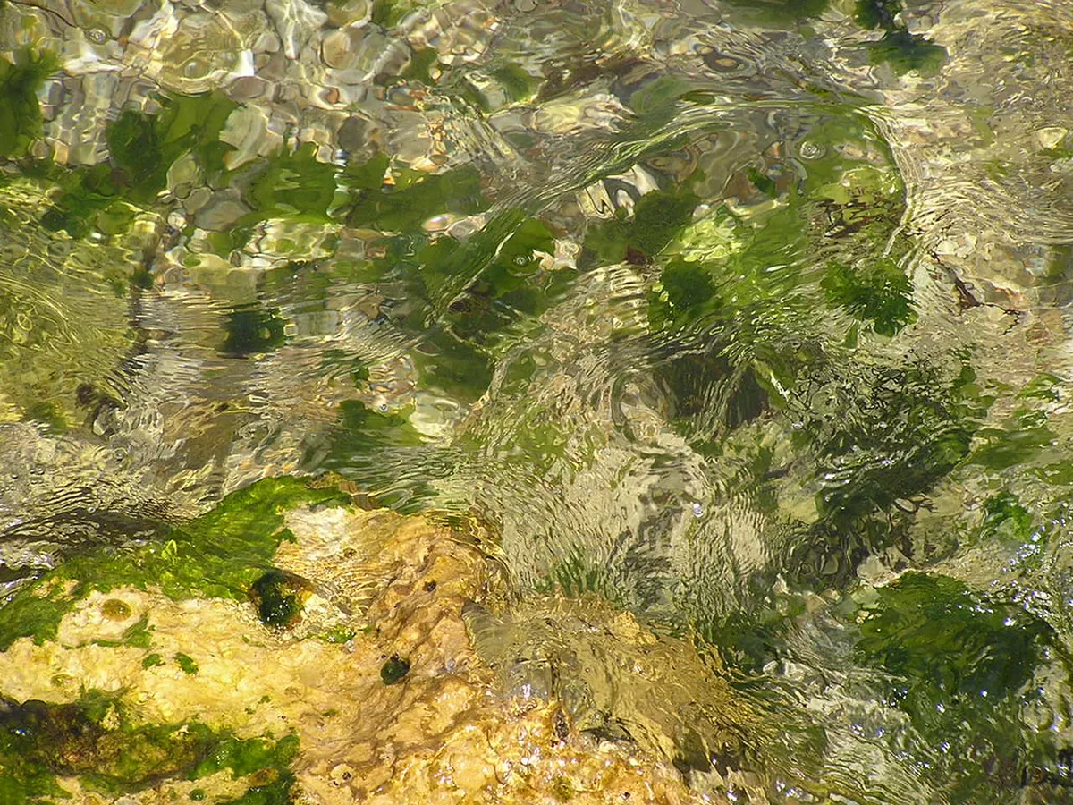 Best Things to Do Poreč, Croatia in 2026: Your Ultimate Guide