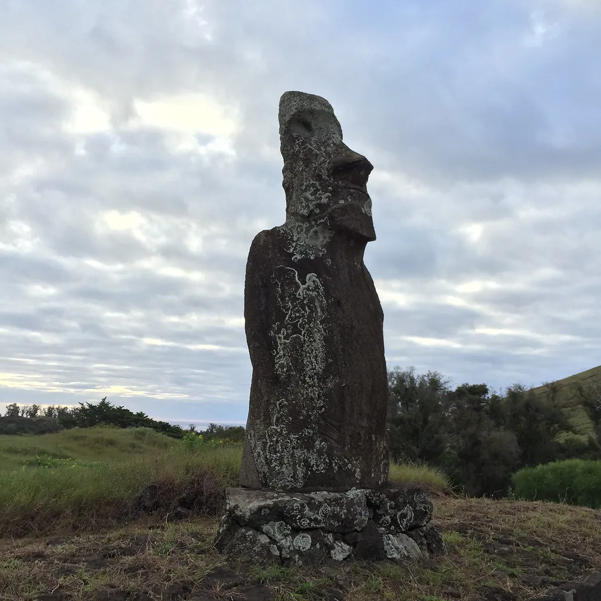 Best Time to Visit Trondheim for Architecture in 2025