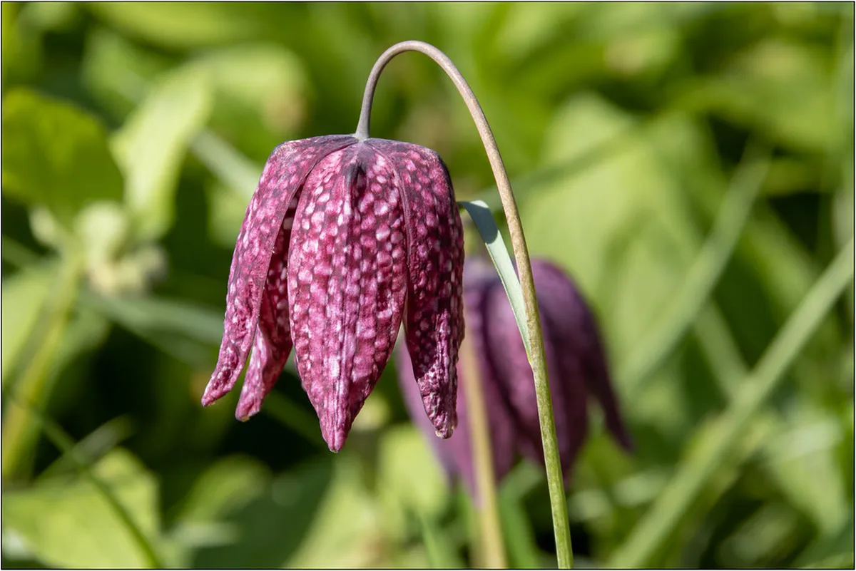 Best Time to Visit London: Your 2025 Travel Guide