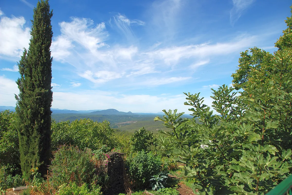 Best Time to Visit Epernay: Seasonal Travel Guide