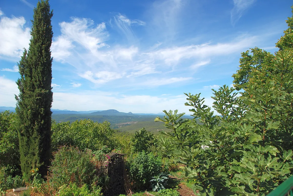 Best Time to Visit Pollença, Mallorca: Your 2026 Guide