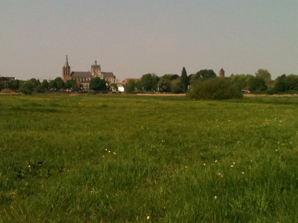 Best Time to Visit Den Bosch in 2025: A Seasonal Guide