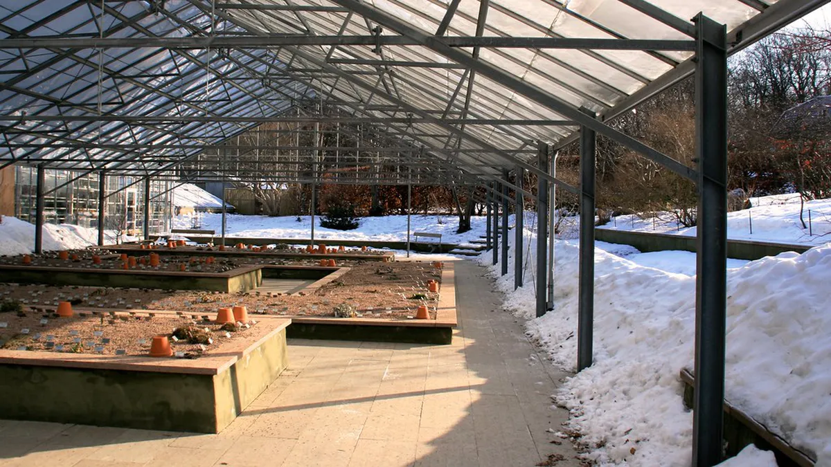 Best Time to Visit Gothenburg: Your 2025 Travel Guide