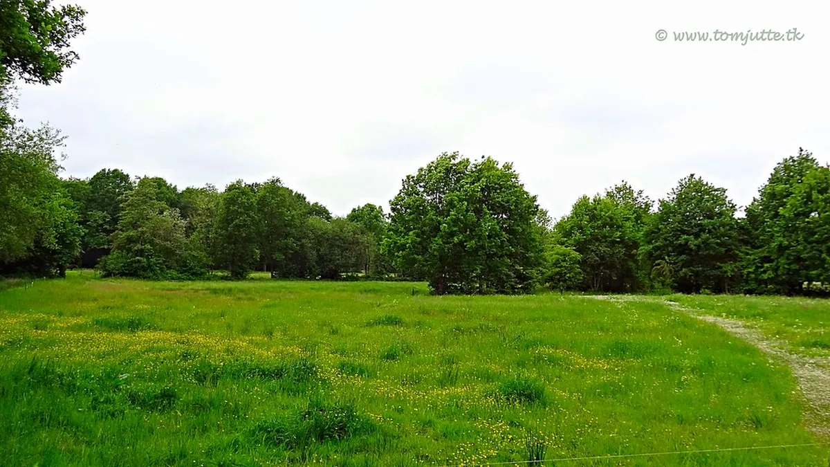 Best Time to Visit Groningen in 2025: Your Seasonal Guide