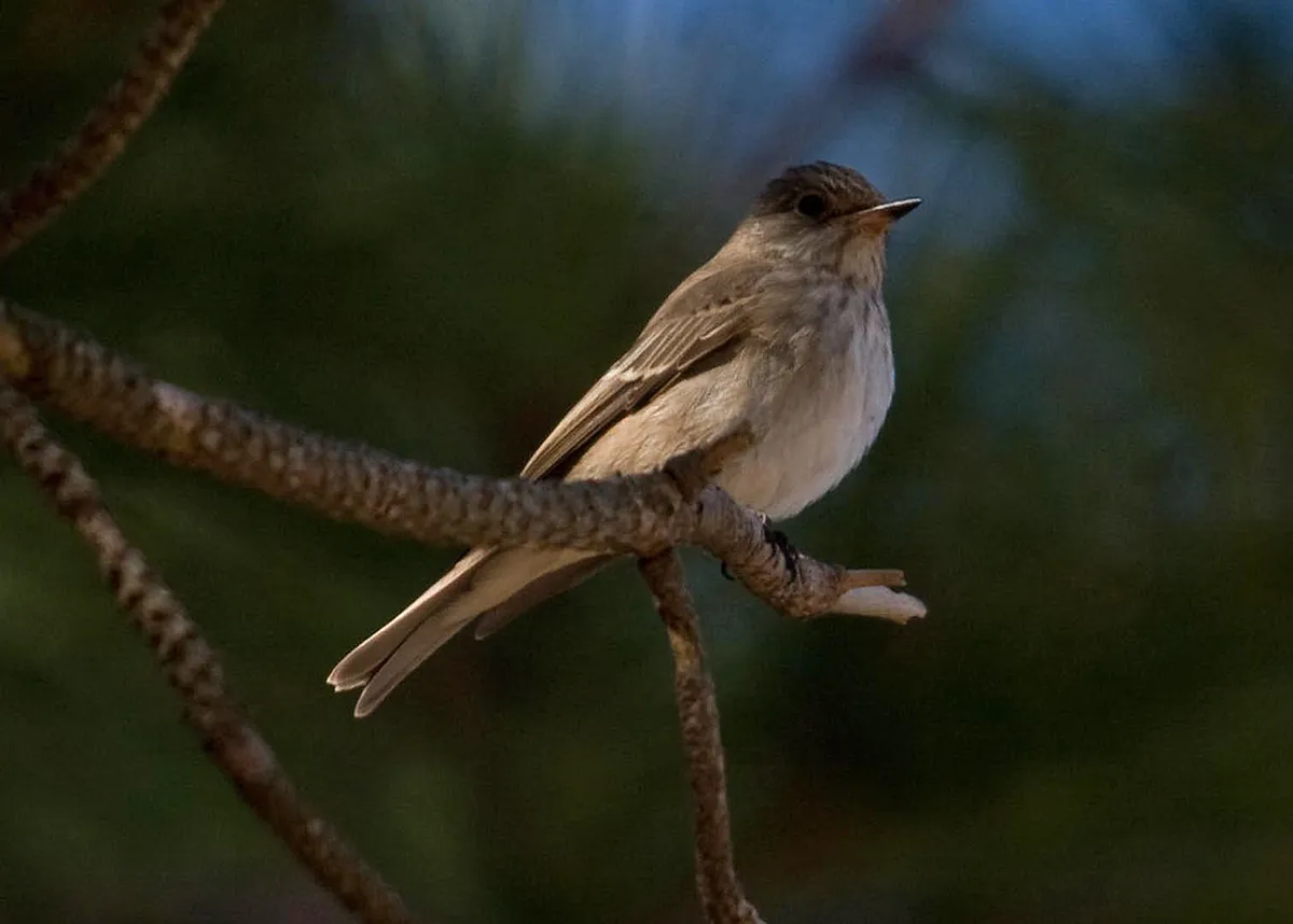 Best Time to Visit Sagres in 2025: Your Ultimate Guide