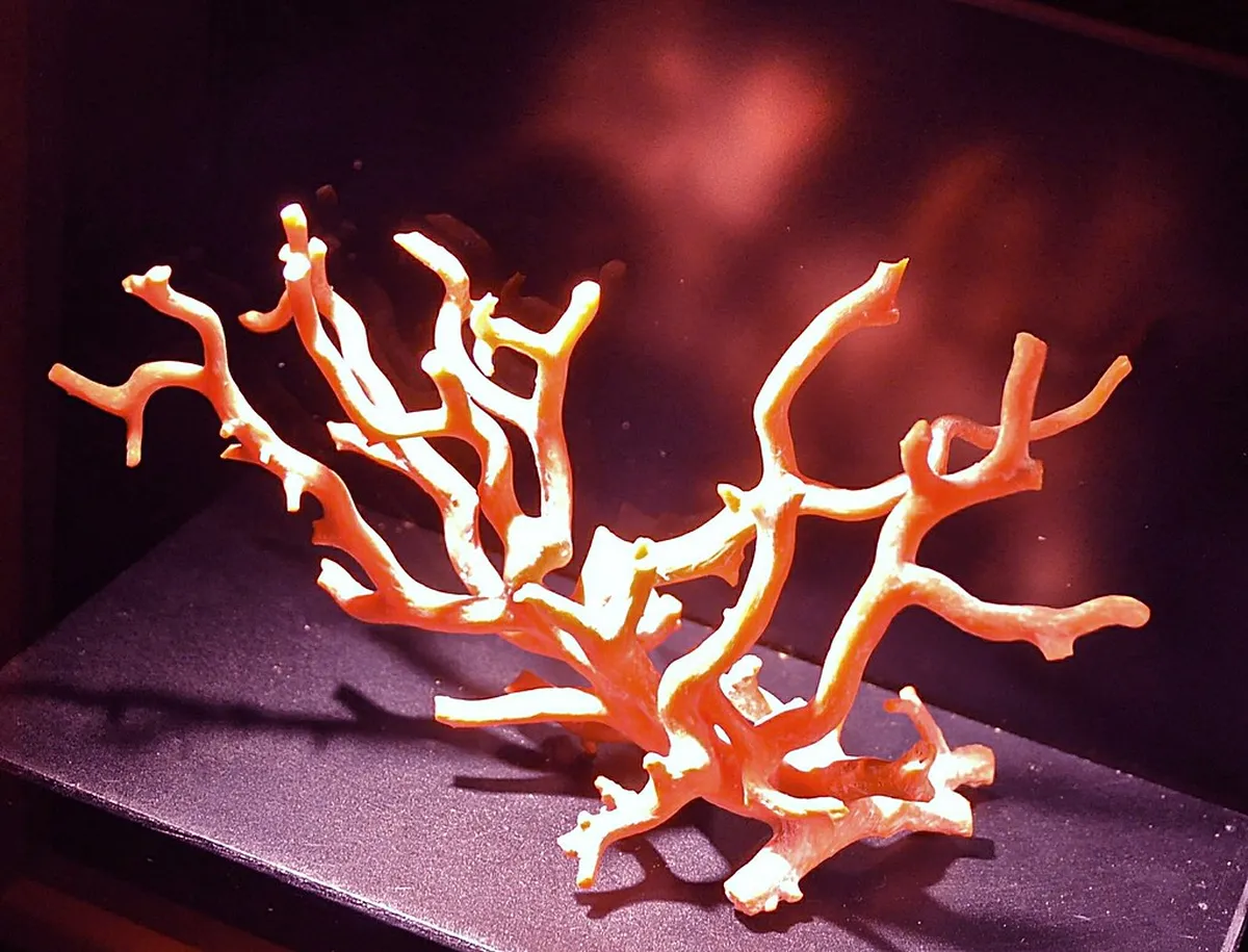 Best Trapani Day Trips 2025: Explore Western Sicily