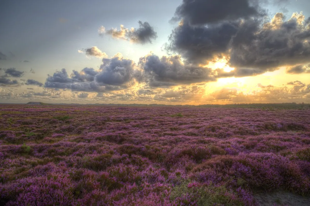 Discover the Best Vejer Restaurants for Unforgettable Dining