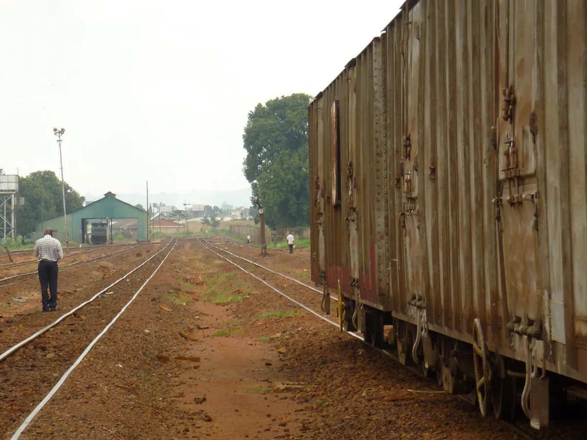 Best Vicenza Walking Tour: Discover Palladian Wonders