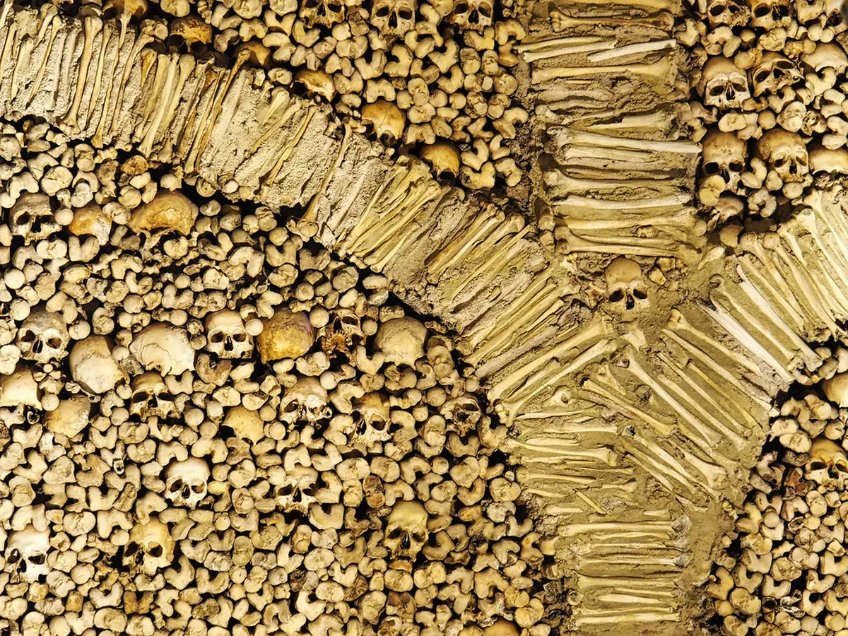 Best Évora Restaurants Local: Your 2025 Authentic Dining Guide