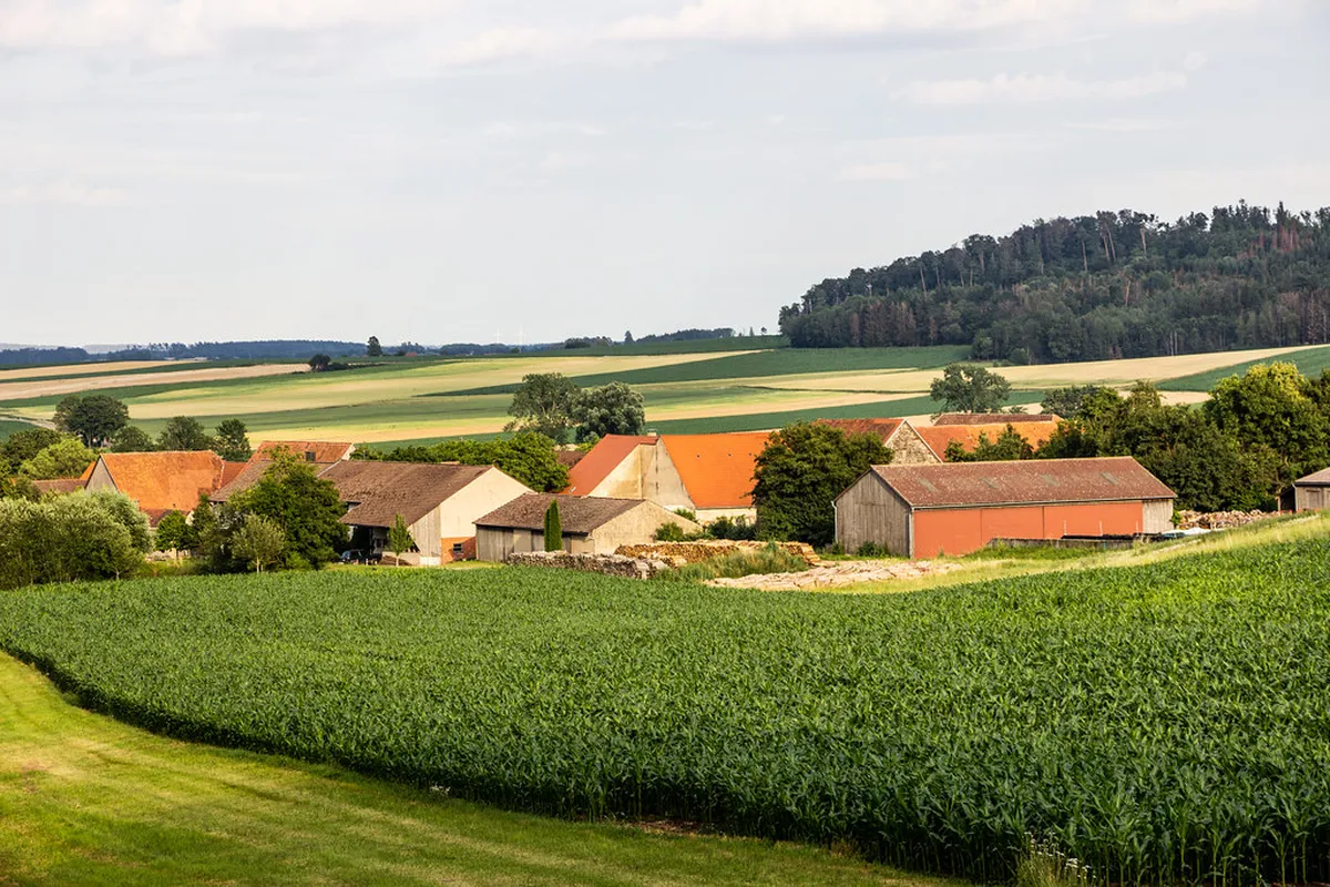 Book Bamberg River Cruise 2025: Your Essential Guide