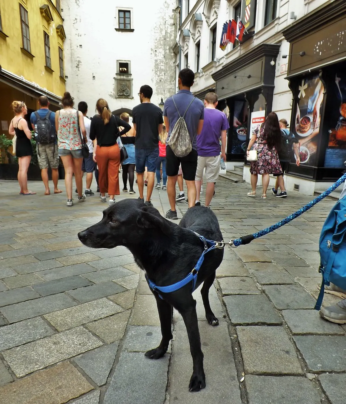 Bratislava Walking Tour Itinerary: Discover Old Town