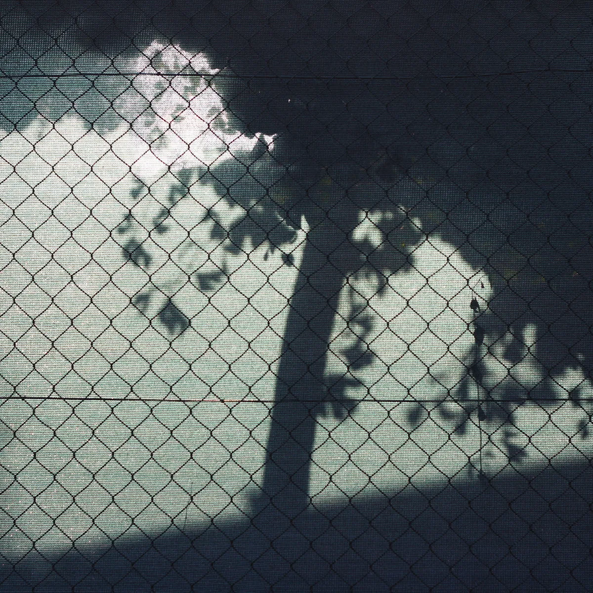 Discover Brno Free Walking Tours in 2025