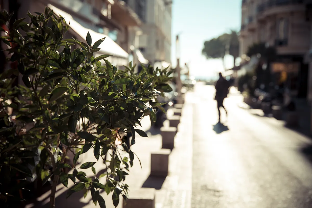 Cannes Hidden Gems: Uncover Secret Spots in 2025