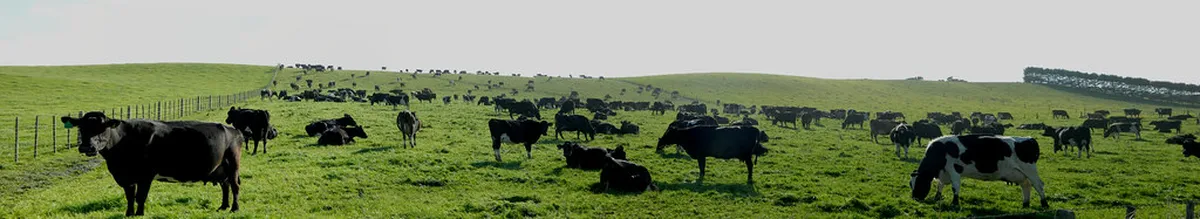 Canterbury Budget Travel Guide 2025: Explore Affordably